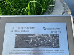 -活水公园