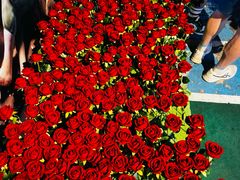 -北京目的地酒吧