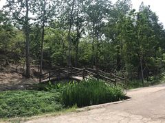 -白水寺森林公园
