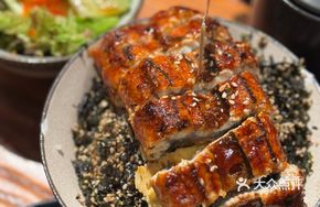 Kyushu Grilled Eel Rice Bowl