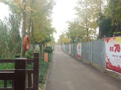 -白鹭湾湿地公园