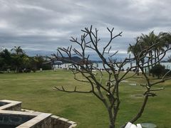 -采粤轩中餐厅(惠州金海湾喜来登度假酒店)