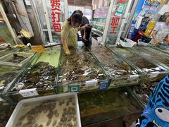 -南戴河海滨市场