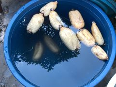 -瑞丰园庭院餐厅·白族传统家常菜