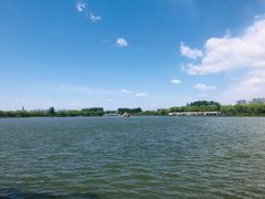 -大兴滨河森林公园