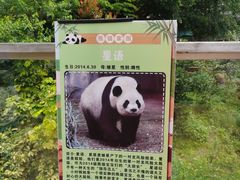 -泉州海丝野生动物世界