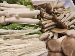 -百年果林椰子鸡(中洲店)