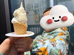 -野人先生现做冰淇淋(北京顺义祥云小镇店)