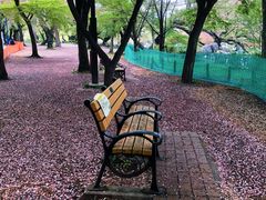 -井之头恩赐公园