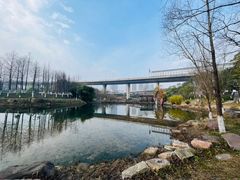-洋湖国家湿地公园