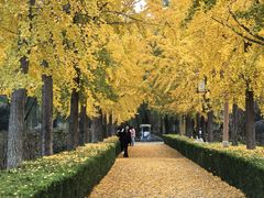 -洛阳市隋唐城遗址植物园