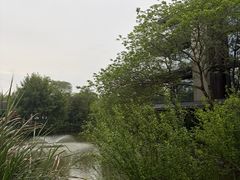 -木守西溪溪隐餐厅