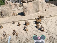 -哈尔滨北方森林动物园