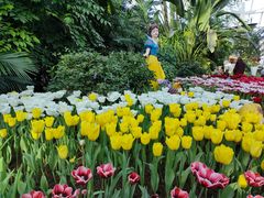 -石家庄市植物园