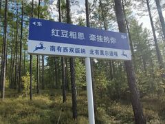 -莫尔道嘎国家森林公园