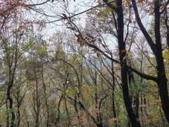 -虞山风景区