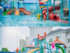 -海合安武汉极地海洋公园