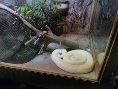 -上海大自然野生昆虫馆(东方明珠·爬宠昆虫探索中心)