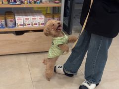 -艾贝尔宠物医院·狂犬免疫点(江山金象城店)