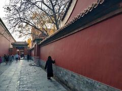 景点-景山公园