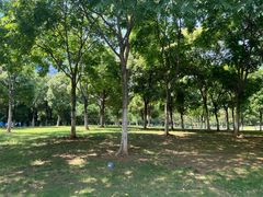 -天鹅湖体育公园