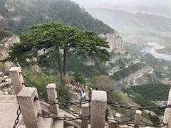 -小媳妇凉粉(浑源店)