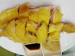 -渔鸽皇酒楼(鸿大广场店)