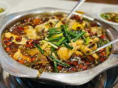 -乡土特色.冷锅鱼.牦牛肉汤锅