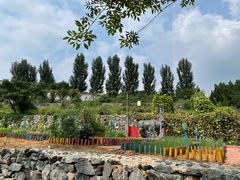 -西部长青自然儿童乐园