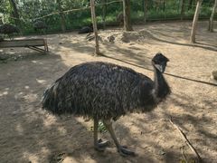 -青藏高原野生动物园
