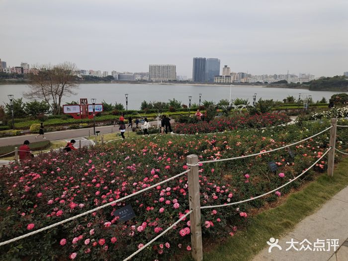 立新湖公园图片