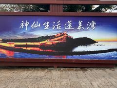 -烟台市博物馆