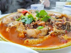 -煲来饱去冷水鱼