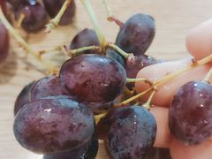 -鲜丰水果(高刘路店)