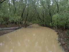 -大亚湾红树林城市湿地公园