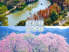 -佛冈森波拉度假区