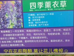 -广东花都香草世界旅游度假区