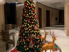 -南京禄口机场雅高铂尔曼大酒店