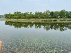 -东郊湿地公园