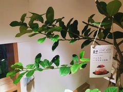 -Oasis coffee燕谷咖啡(公信店)