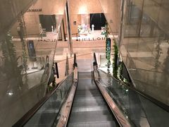 -乐天免税店(明洞店)