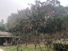 -桃花涧