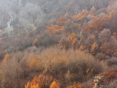 -玉渡山自然风景区