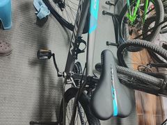 -道路口单车爱瓦士dahon大行