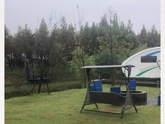 糖醋排骨-盐官日光域房车营地·有盐餐厅