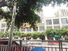 -德国马牌轮胎(观月大道店)