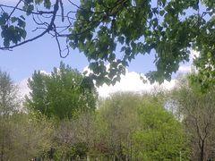 -长白岛森林公园