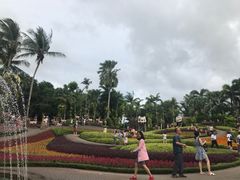 -东芭乐园