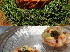 -壳里西餐厅Coquille Seafood Bistro(蒙自路店)