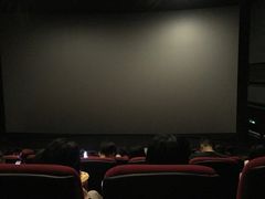 -万达影城(南海万达广场IMAX店)